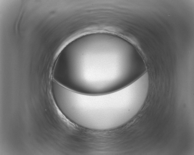 X0000080131524200612081217