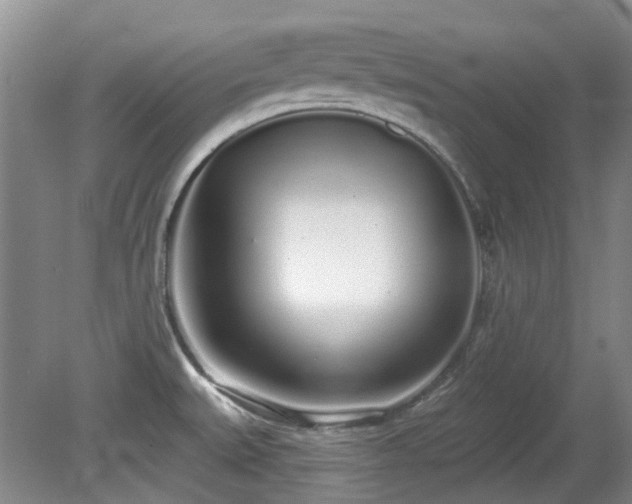 X0000080131527200612081217