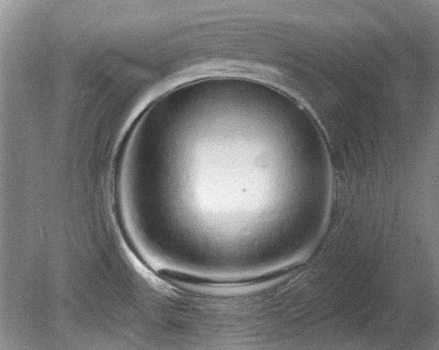 X0000080131531200612081217