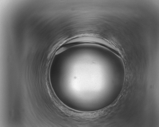 X0000080130001200612151750