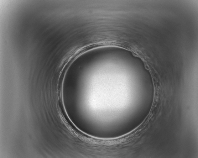 X0000080130002200612151750