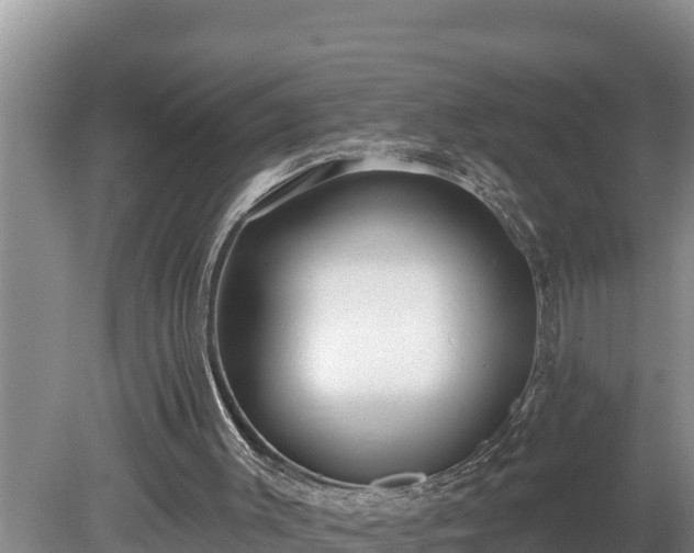 X0000080130003200612151750