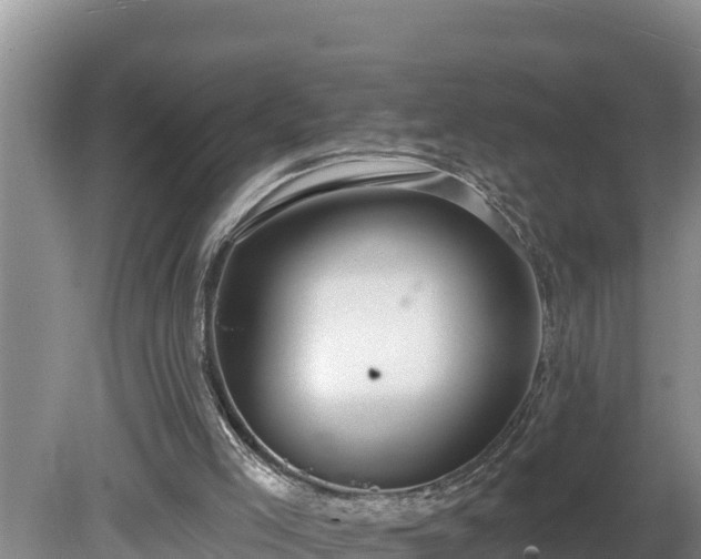 X0000080130005200612151750