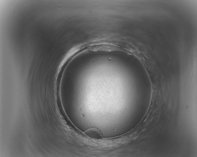 X0000080130006200612151750