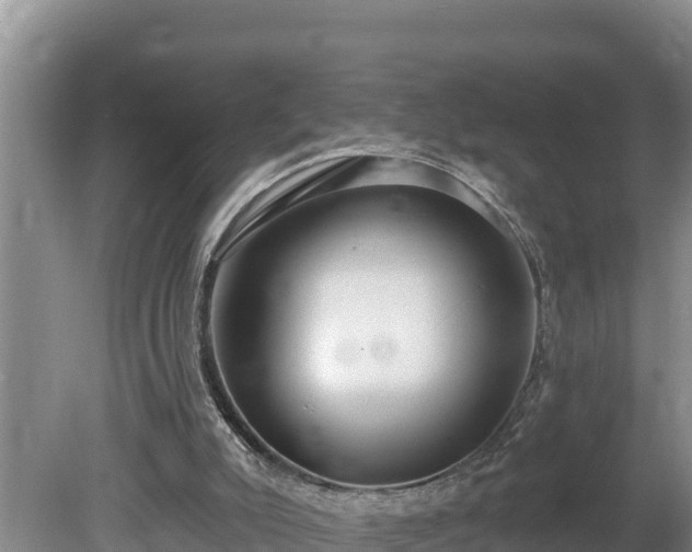 X0000080130007200612151750