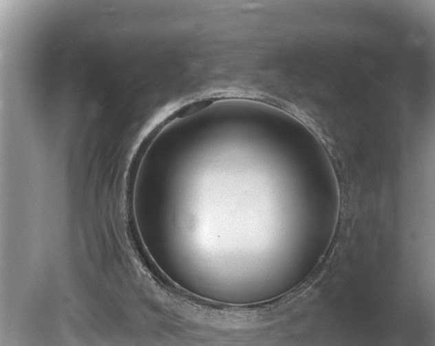 X0000080130008200612151750