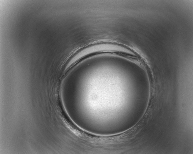 X0000080130009200612151750