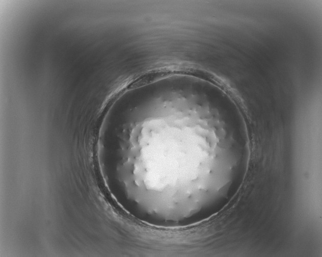 X0000080130010200612151750