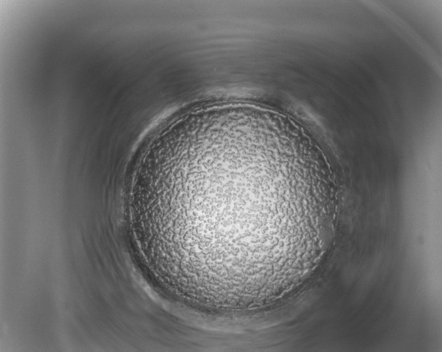 X0000080130012200612151750