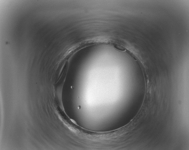 X0000080130013200612151750