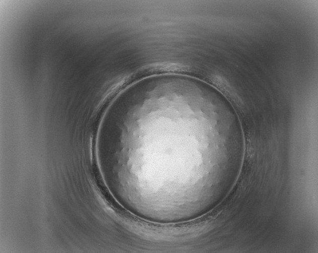 X0000080130014200612151750