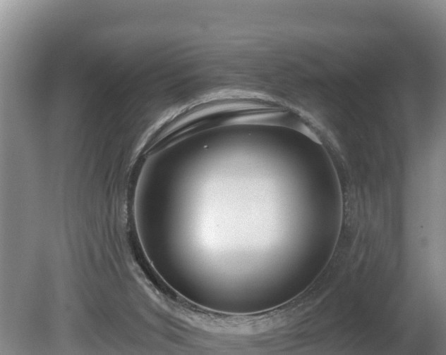 X0000080130015200612151750