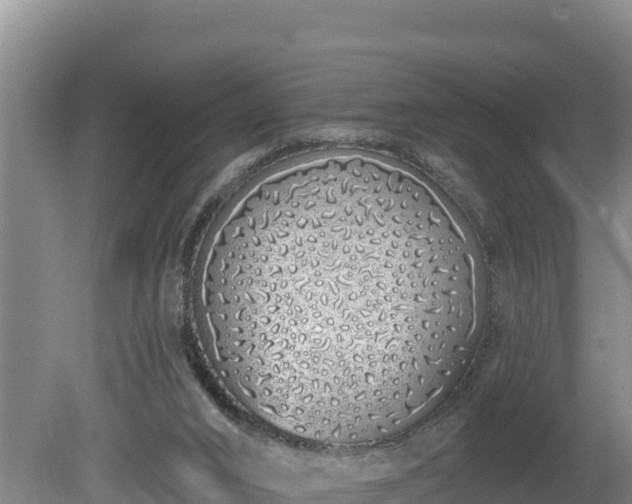 X0000080130016200612151750