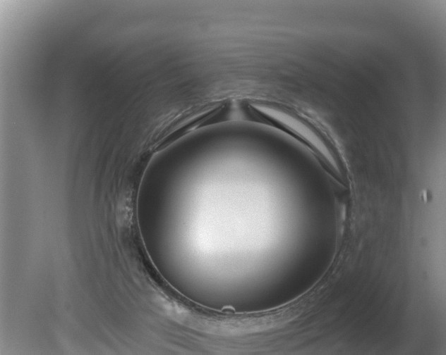 X0000080130017200612151750