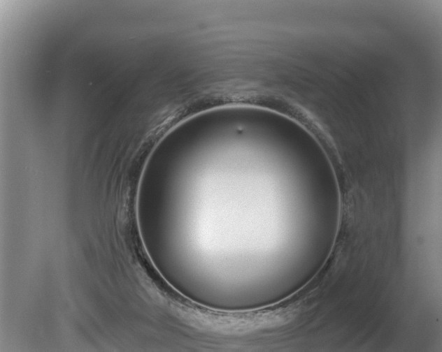 X0000080130018200612151750