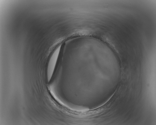 X0000080130019200612151750