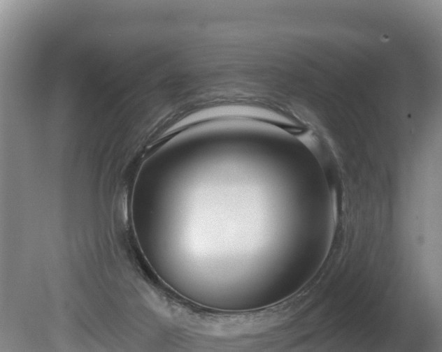 X0000080130021200612151750