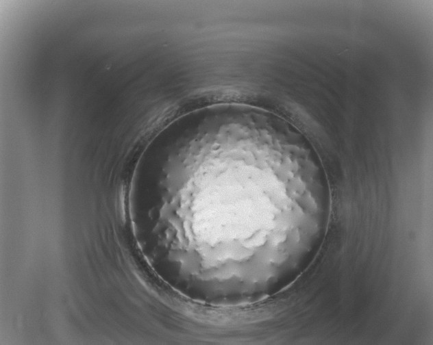 X0000080130022200612151750