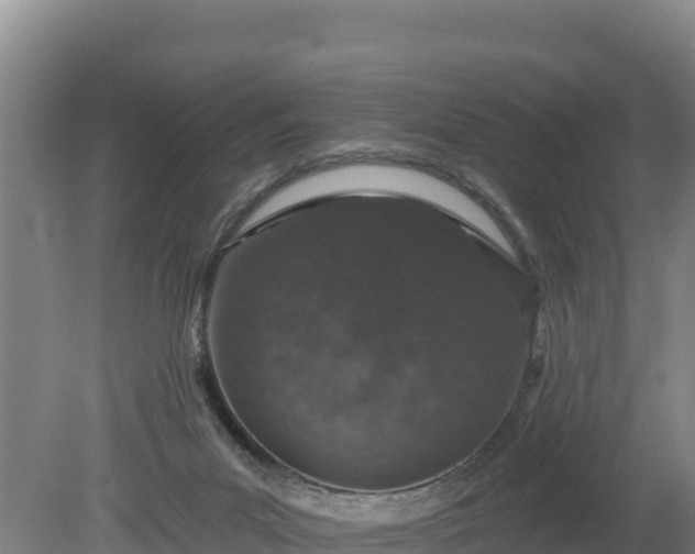 X0000080130023200612151750