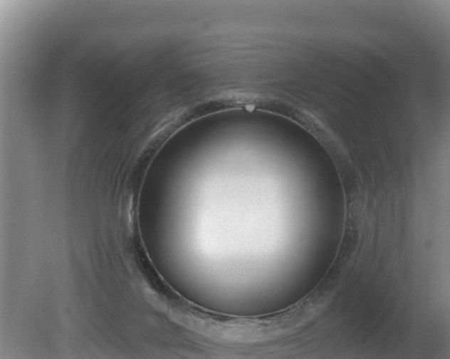 X0000080130024200612151750