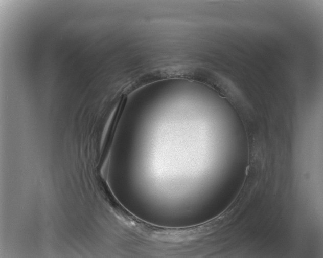 X0000080130025200612151750