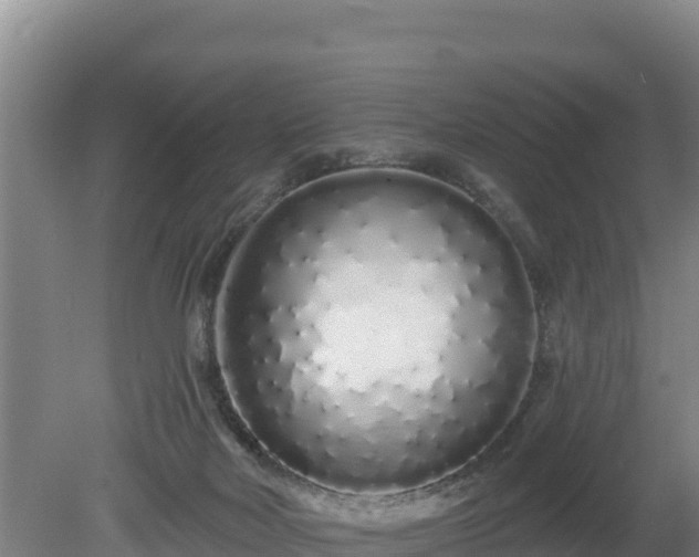 X0000080130026200612151750