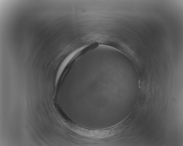 X0000080130027200612151750