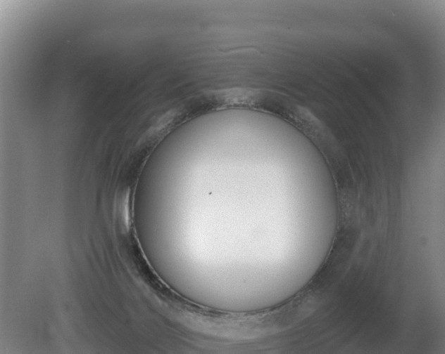 X0000080130028200612151750