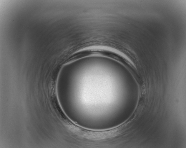 X0000080130029200612151750