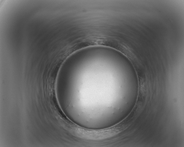 X0000080130030200612151750