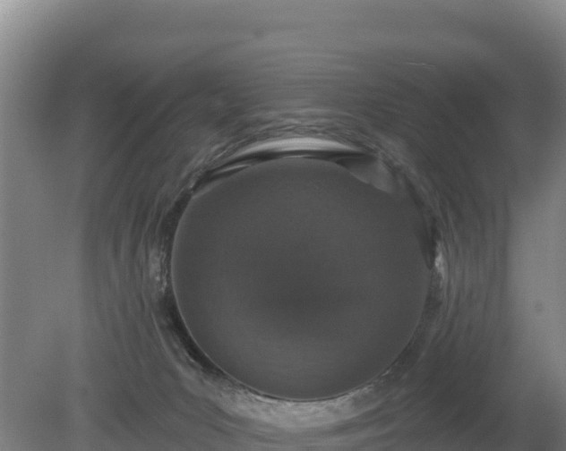 X0000080130031200612151750