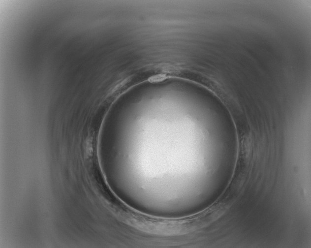 X0000080130032200612151750