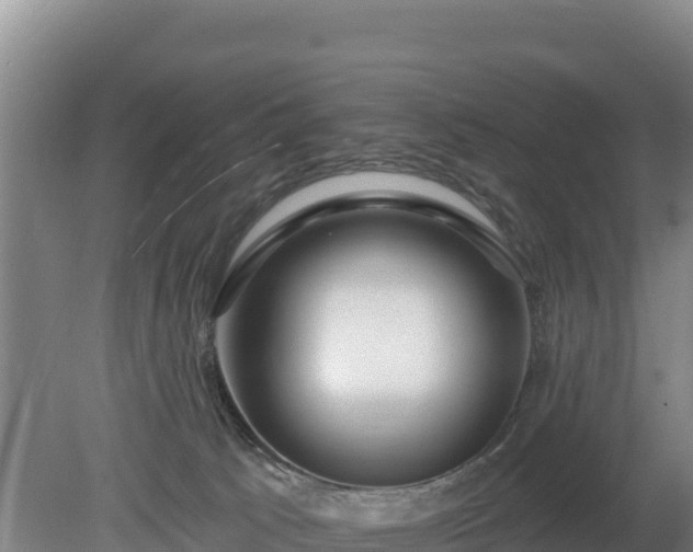 X0000080130033200612151750