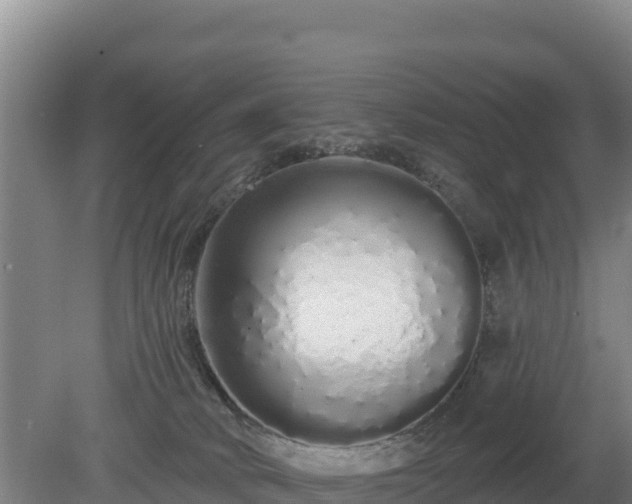 X0000080130034200612151750