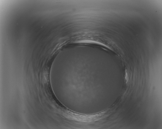 X0000080130035200612151750