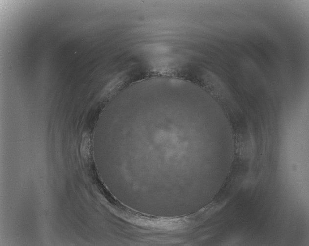 X0000080130036200612151750