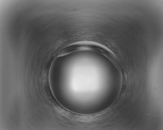 X0000080130037200612151750