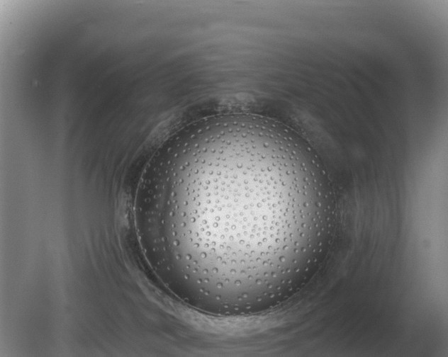 X0000080130038200612151750