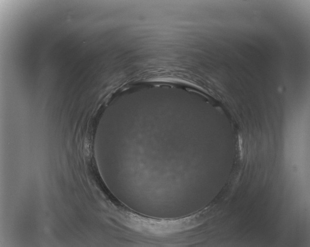 X0000080130039200612151750