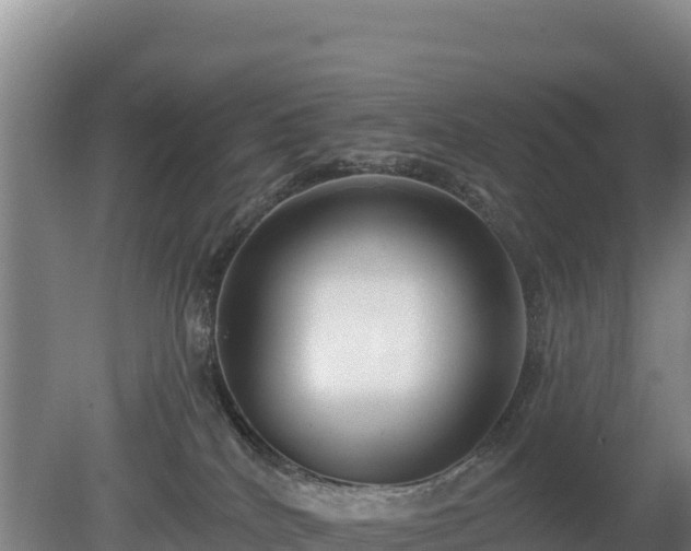 X0000080130040200612151750