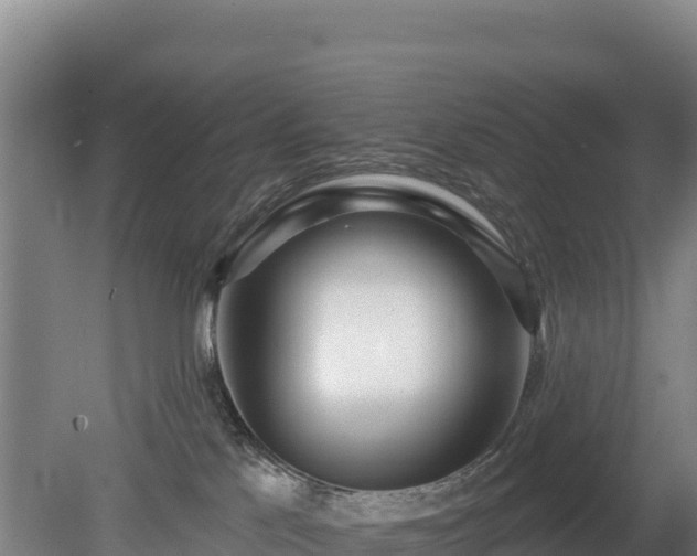 X0000080130041200612151750