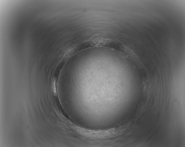 X0000080130042200612151750