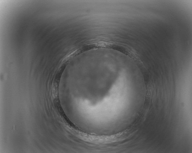 X0000080130043200612151750