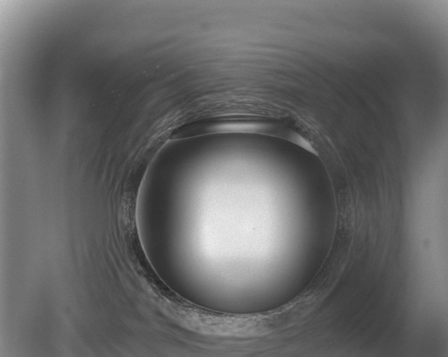 X0000080130044200612151750