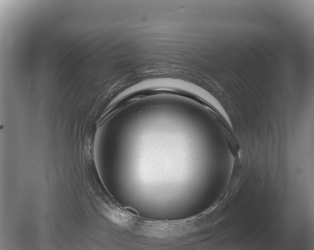 X0000080130045200612151750