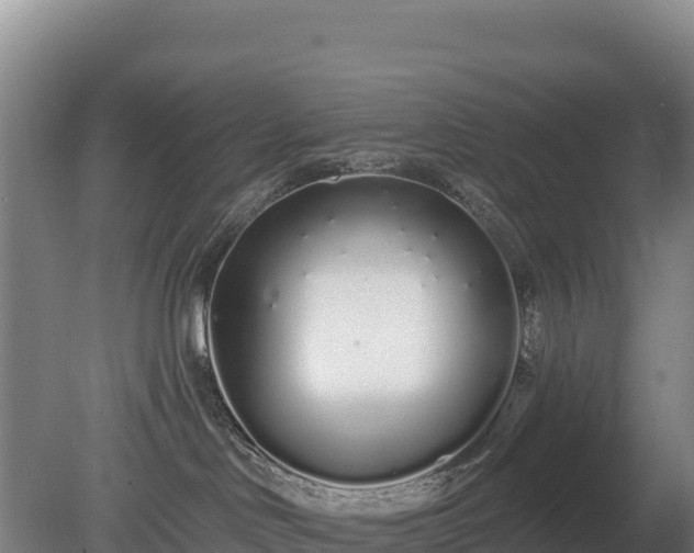 X0000080130046200612151750