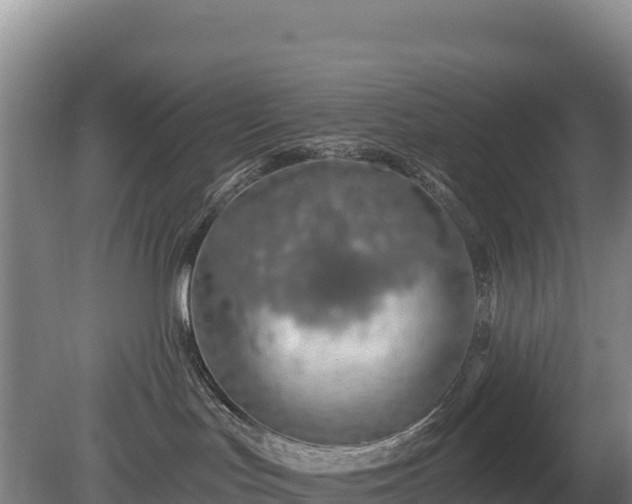 X0000080130047200612151750