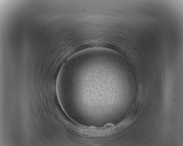 X0000080130048200612151750