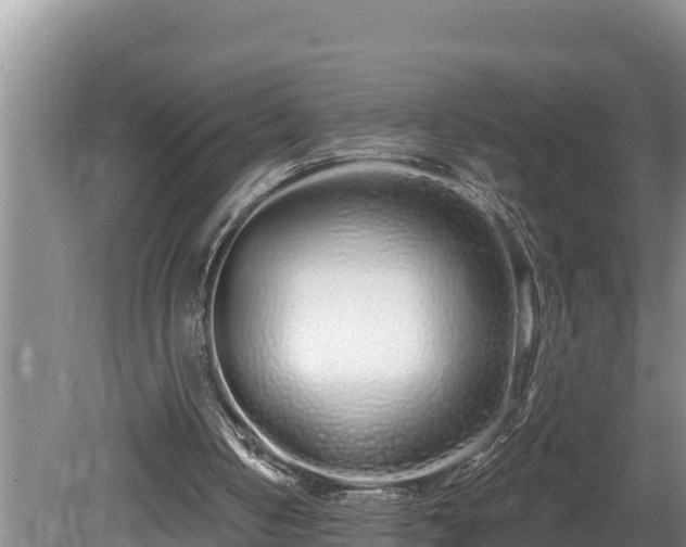 X0000080130050200612151749