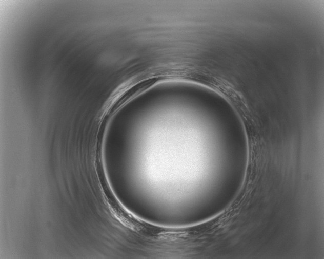 X0000080130051200612151749